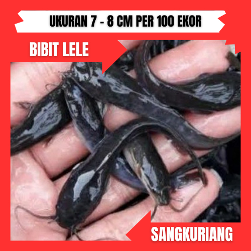 Warung Kopi di Jalan Ir Juanda: Saingan Rival Saat Citimall Datang